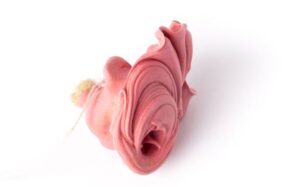 custom ear mold